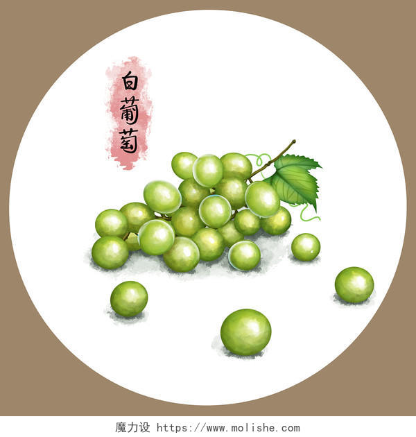 手绘卡通水彩白葡萄原创插画海报水果树枝